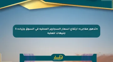 «تدهور مفاجئ» ارتفاع أسعار السجائر المحلية في السوق وزيادة 5 جنيهات للعلبة
